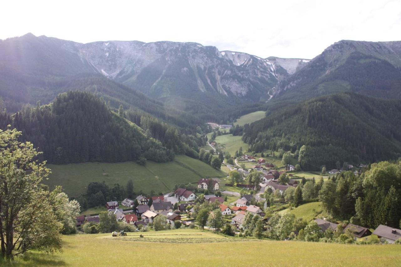 Altenbergerhof Neuberg an der Mürz エクステリア 写真
